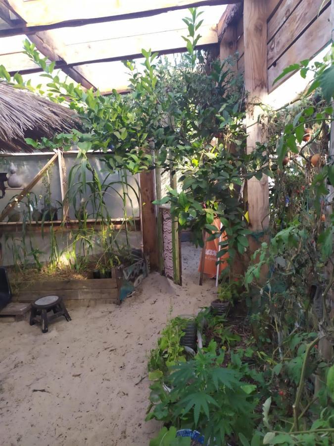 Casa Candombe y Mar Barra de Valizas Exterior foto