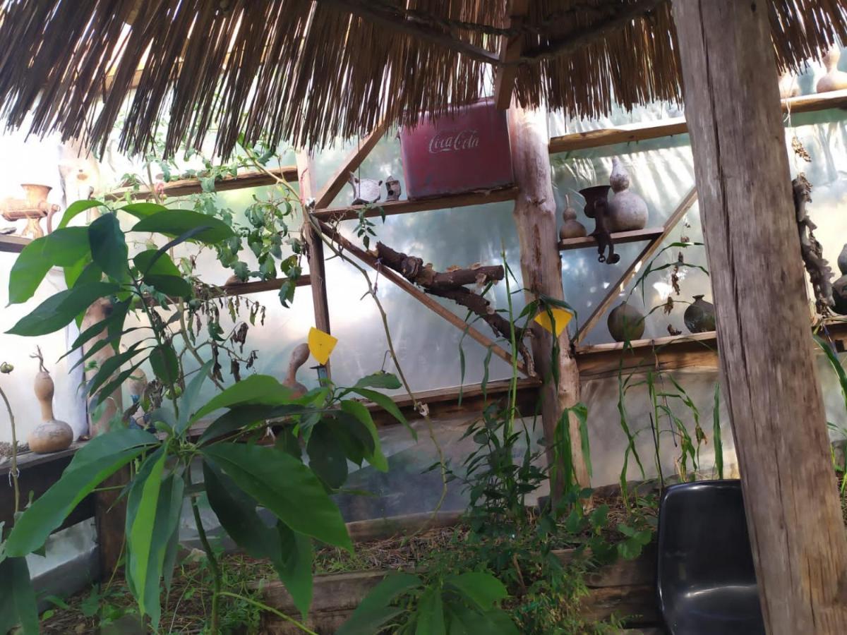 Casa Candombe y Mar Barra de Valizas Exterior foto
